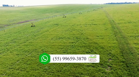 DO PIVO 2 PARA O 1 ALTO.00_03_06_29.Quadro039_d7abf07233d69e69b300b542ec7f30bda1456803.jpg